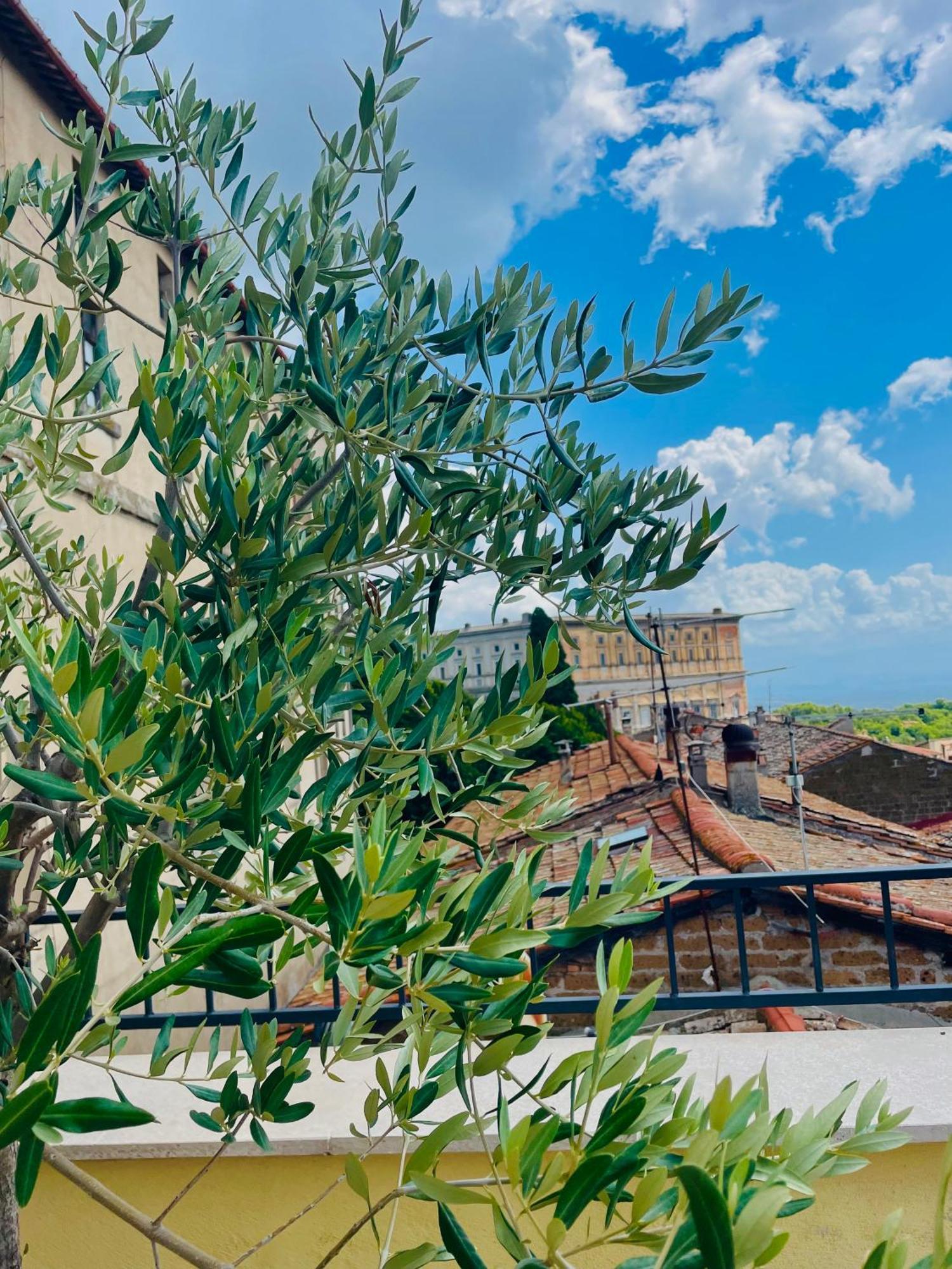 Casa Checca Appartamenti Per Vacanze Caprarola Exteriör bild